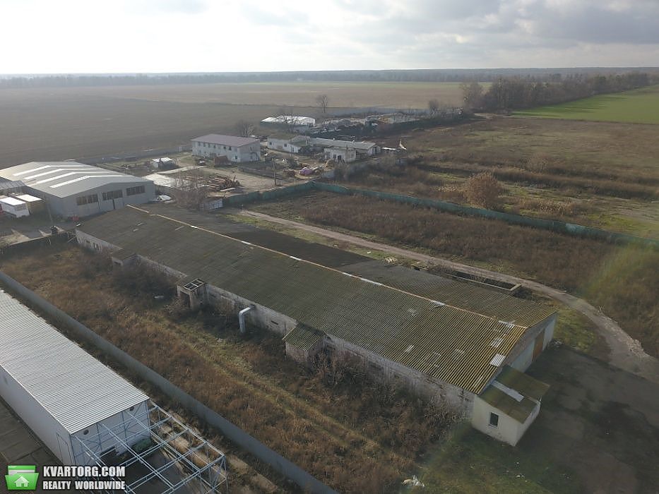 Rent out warehouse. Киевская обл., Первая Полевая — photo 5
