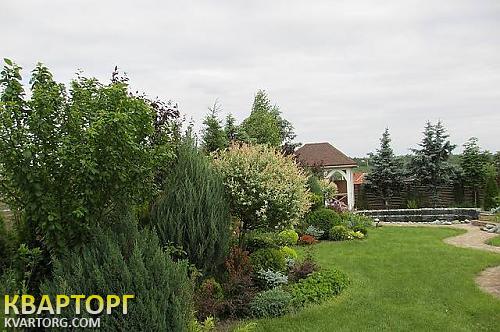 Rent out house. Киевская обл., Ходосеевка — photo 5