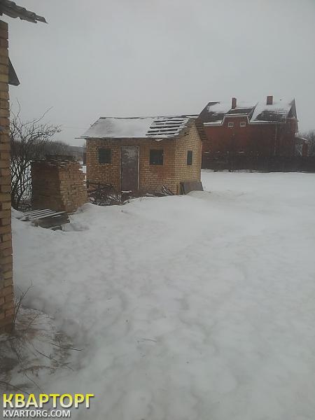 Sell house. Киевская обл., петрушки — photo 5