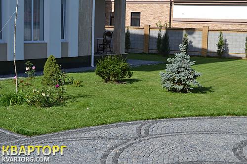 Sell house. Киевская обл., Зоряна — photo 2