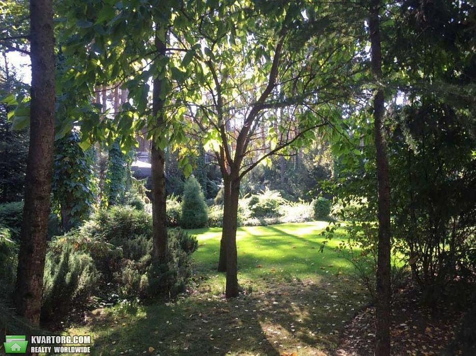 Rent out house. Киевская обл.,  Лесная — photo 10