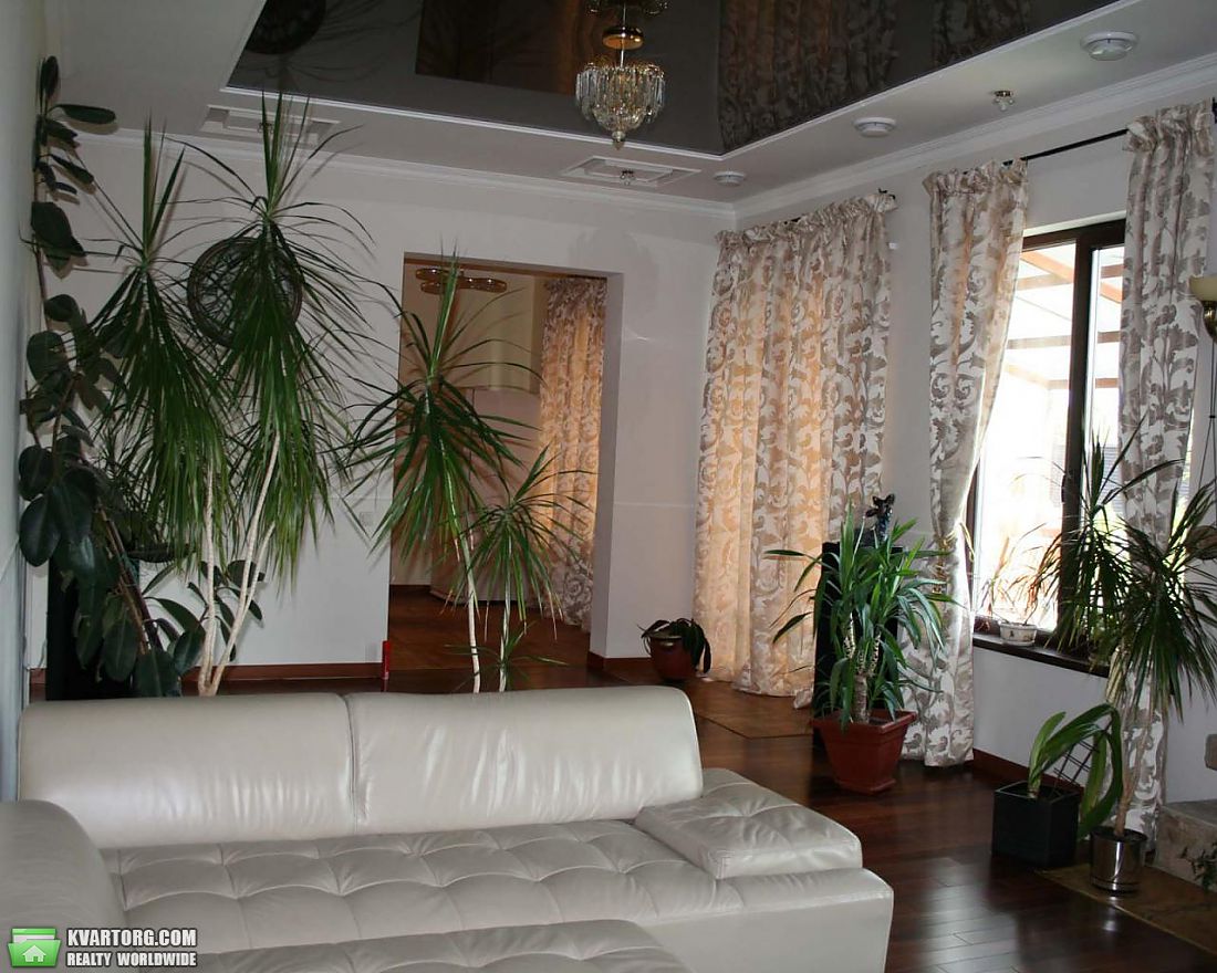 Rent out house. Киевская обл., Новые Безрадичи — photo 6