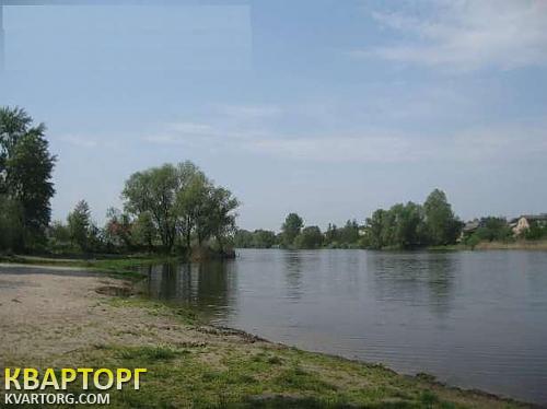 Sell house. Киевская обл., Процев — photo 3