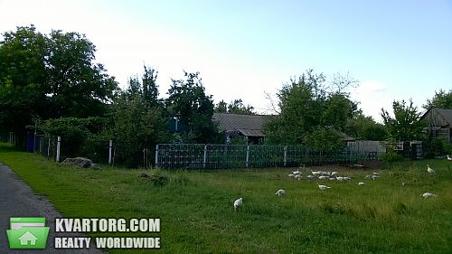 продам дом. Полтава,  с.Литвиновка,ул.Матросова - фото 10
