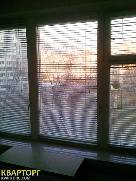 Rent out 1-room apartment. Киев,  Шолом-Алейхема — photo 10