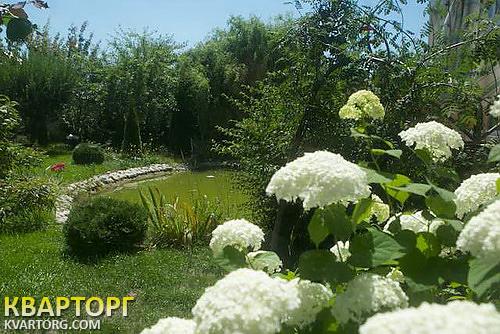 Rent out house. Киев, Софиевская Борщаговка — photo 10