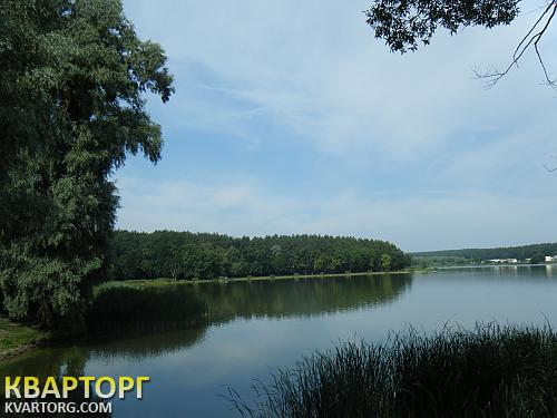продам участок. Киевская обл.,  круглык - фото 7