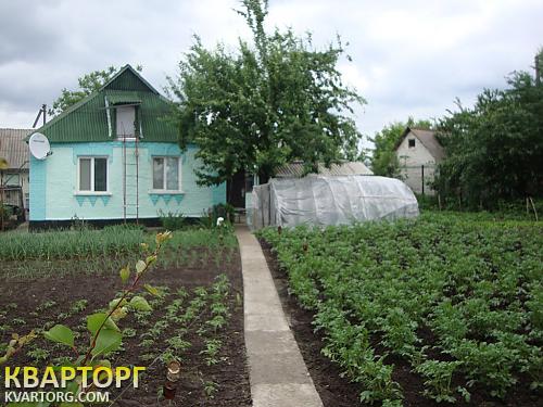 Sell house. Киевская обл., с.Фурси — photo 2