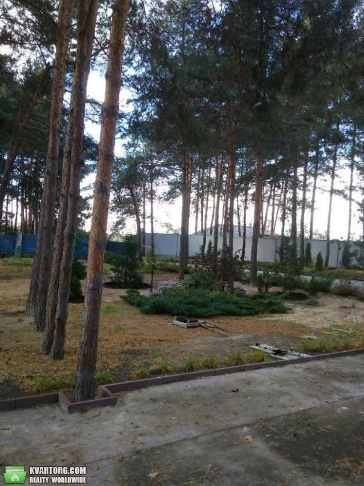 Rent out house. Киевская обл., Подгорцы — photo 2