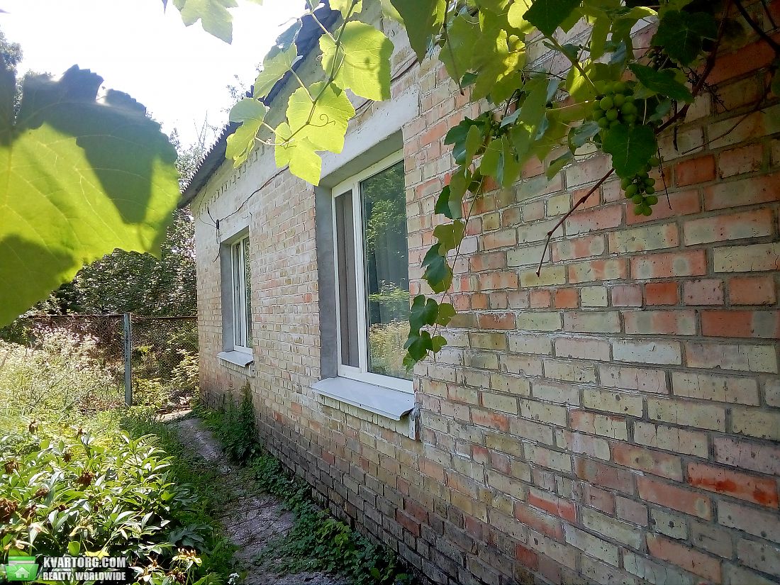 Rent out house. Киевская обл., Немешаево Техникумовсая — photo 1