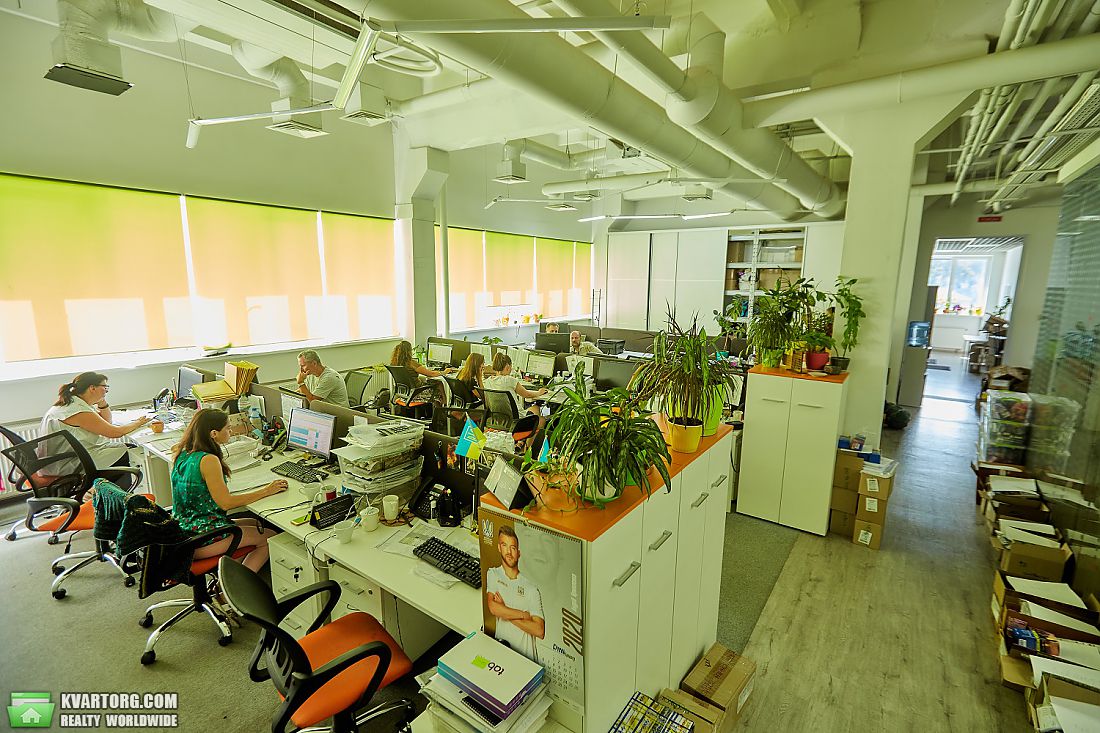 Rent out office. Киев,  Гайдара — photo 4
