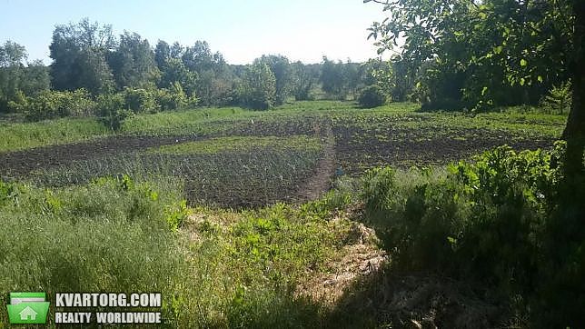 Sell house. Полтава, с. Архемовка — photo 4
