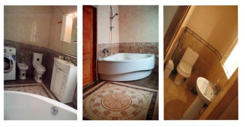 Rent out house. Киев, Садовая 162 — photo 3