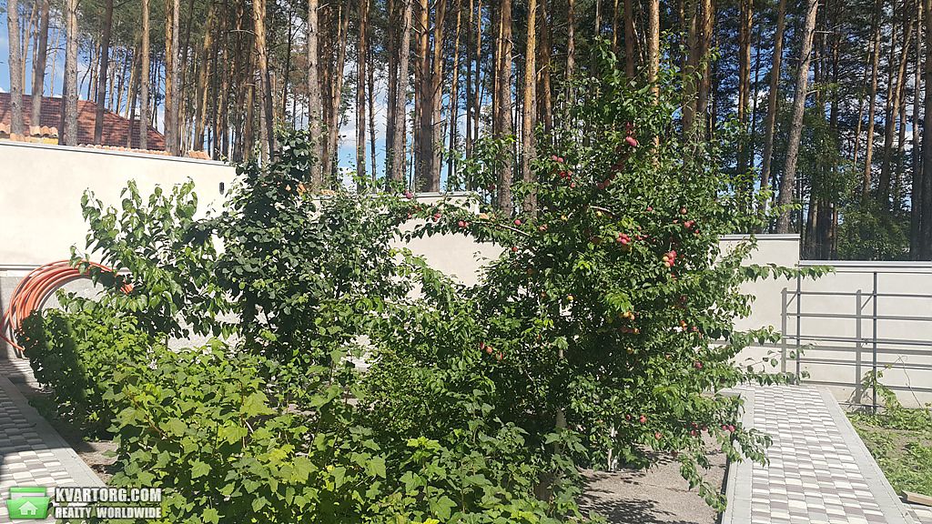 Sell house. Киевская обл., Гарматная — photo 8