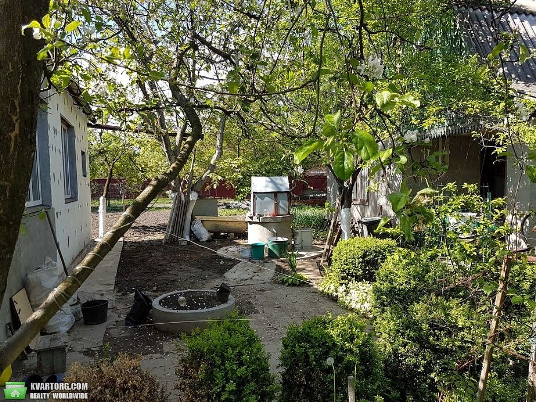 Sell house. Киевская обл., Гребені — photo 4