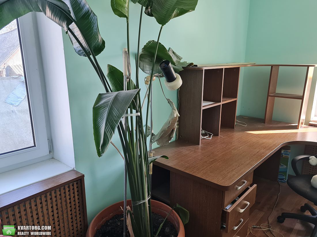 Sell house. Бровары, Пасичанская — photo 6
