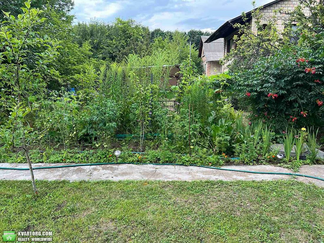 Sell house. Киевская обл., Центральна — photo 3