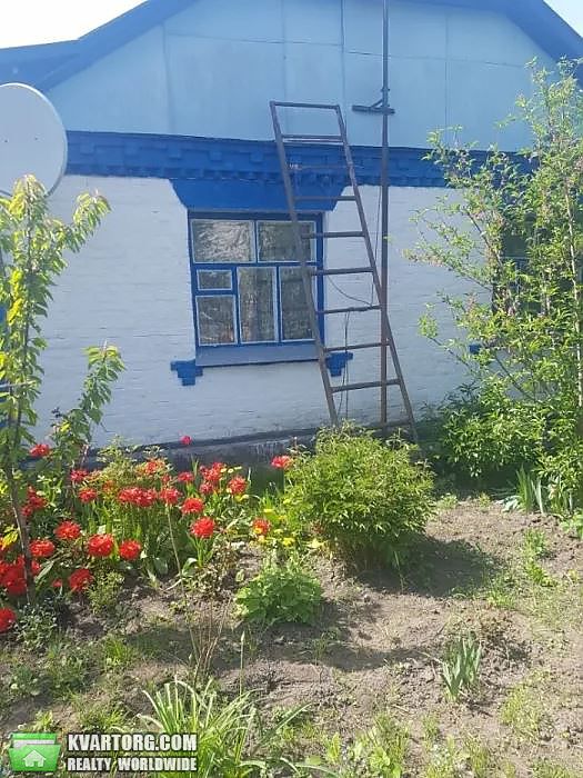 Sell house. Киевская обл., Козятинськая — photo 7