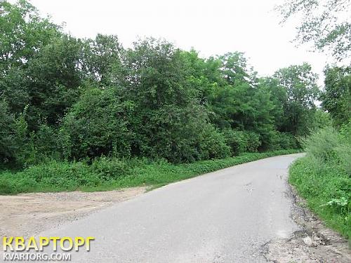 Sell house. Киевская обл., Гвоздов — photo 2