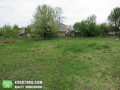 Sell house. Киевская обл., Великие Гуляки — photo 5