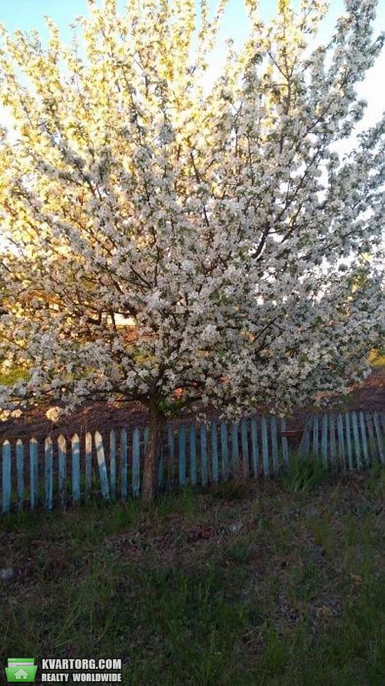 Sell house. Киевская обл., с.Томашовка — photo 10