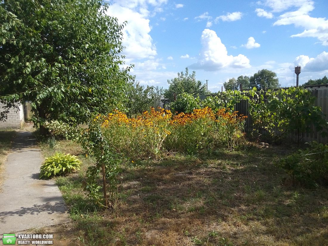Sell house. Киевская обл., Семеновка — photo 6