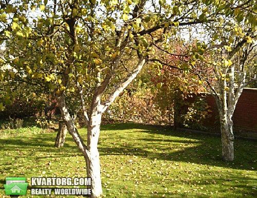 Sell house. Киевская обл.,  Драгоманова — photo 9