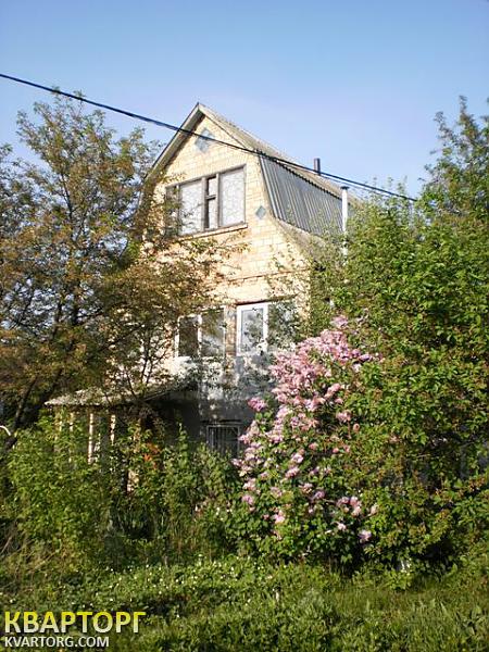Sell house. Киевская обл., хотьяновка — photo 8