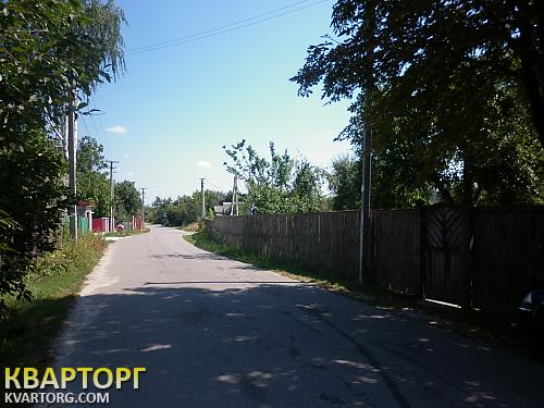 Sell house. Киевская обл., Плесецкое — photo 3