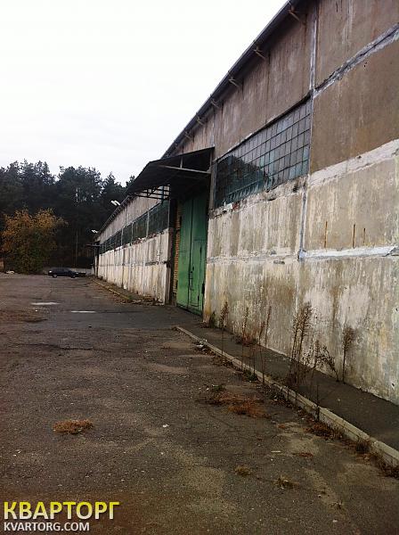 Rent out warehouse. Киев,  Малинская — photo 4