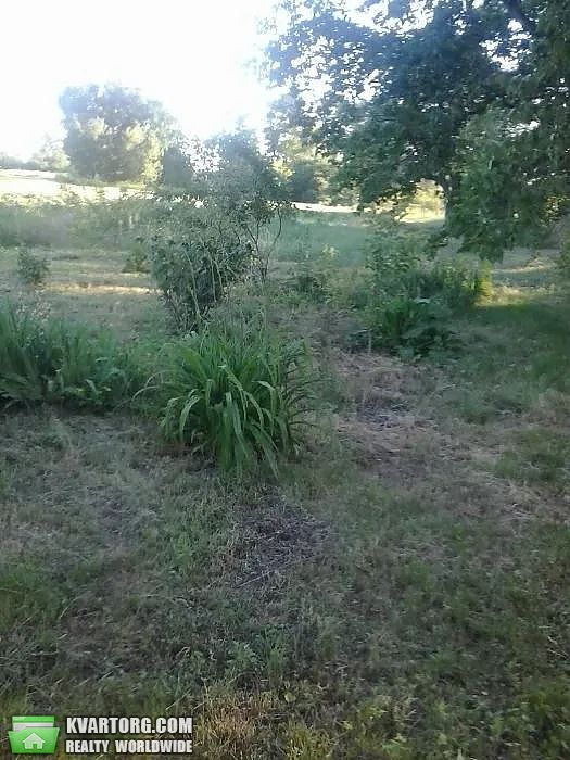Sell house. Киевская обл., Героев — photo 8