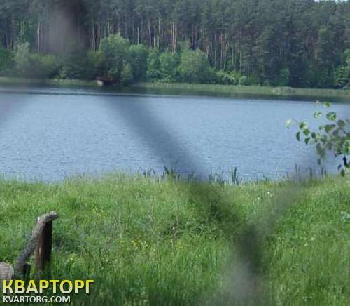 Rent out house. Киевская обл., Бобрица — photo 9