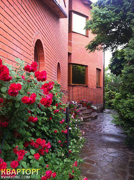 Rent out house. Киев, Малоземельная — photo 3