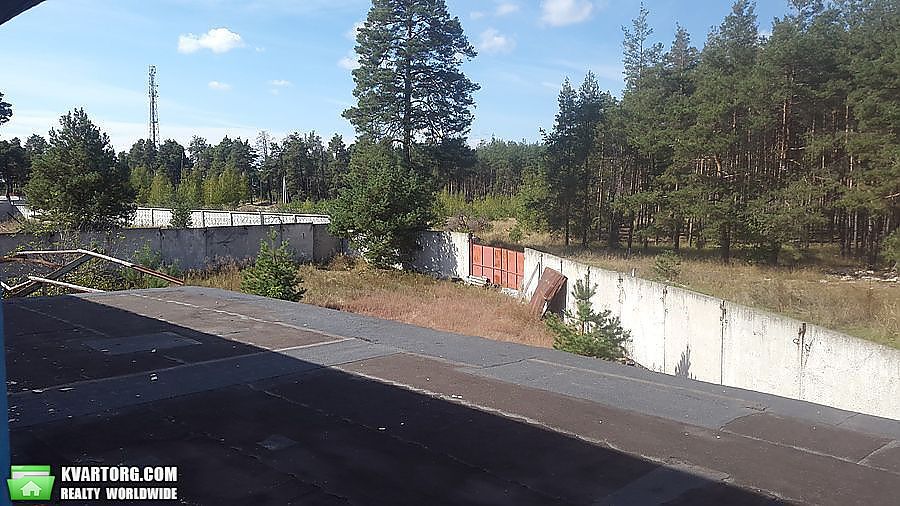 Sell warehouse. Киевская обл., Новоселки — photo 3