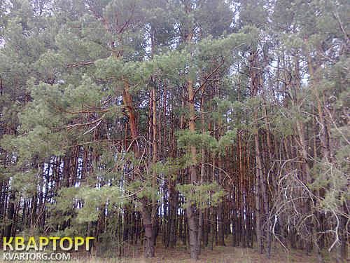 Sell house. Киевская обл.,  Кольцевая — photo 3