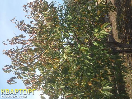 Sell house. Киев, Богатырская — photo 7