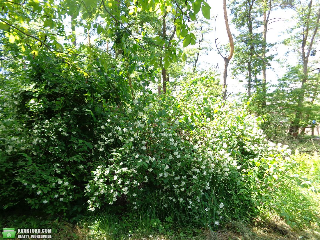 Sell house. Киевская обл., Ворзель — photo 3