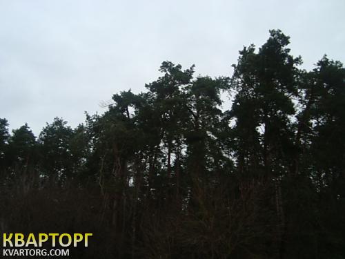 Sell house. Киевская обл., Ленина — photo 6