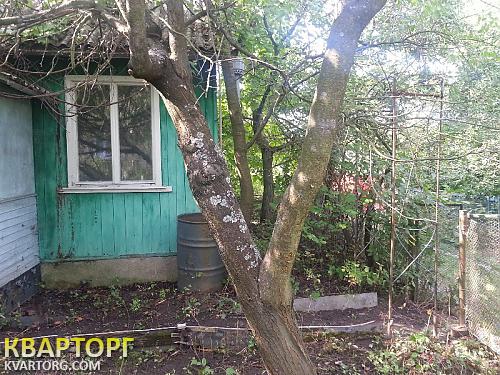 Sell house. Киев, Садовый коопер.Янтарь — photo 3