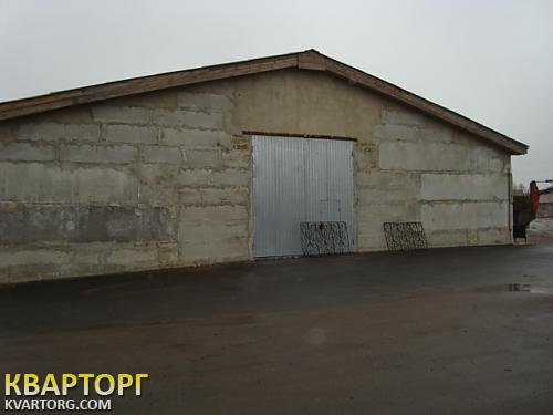 Rent out warehouse. Киевская обл., Игорева — photo 4