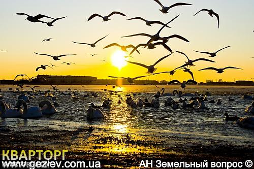 Sell house. АР Крым, с. Уютное — photo 2