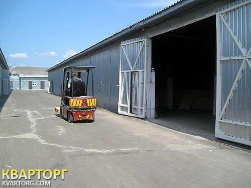 Rent out warehouse. Киевская обл., с. Новые Петровцы — photo 1