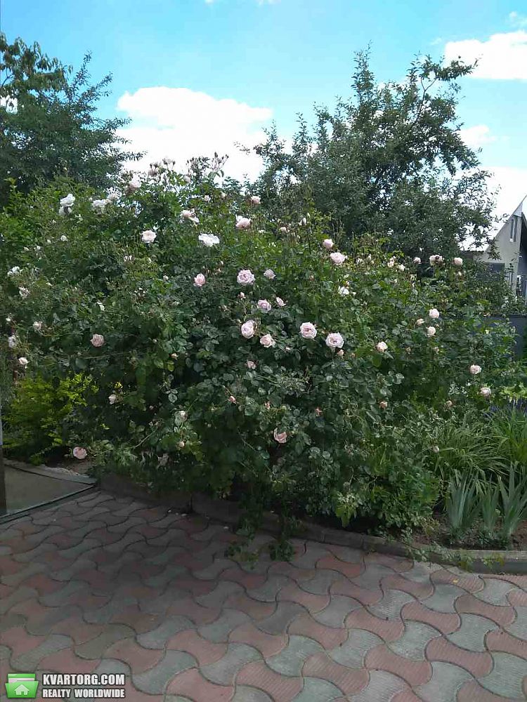 Sell house. Ивано-Франковск, Вышенского — photo 9