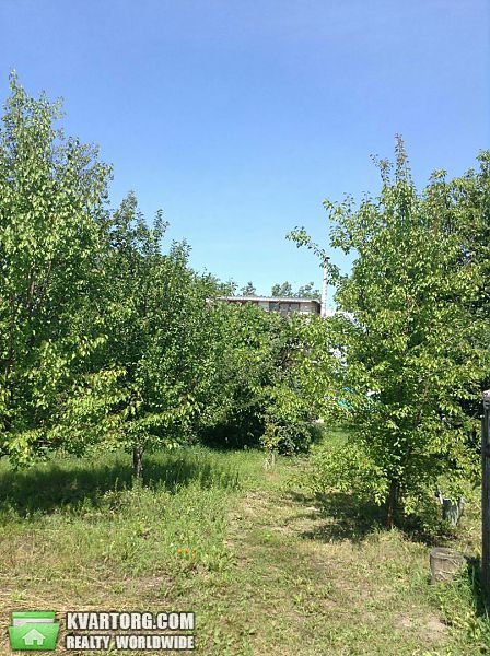 Sell house. Киевская обл., Селещанская — photo 5