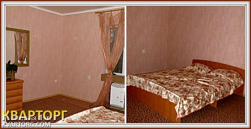 Sell house. Киевская обл., Академсады/СТ Тепличник — photo 9