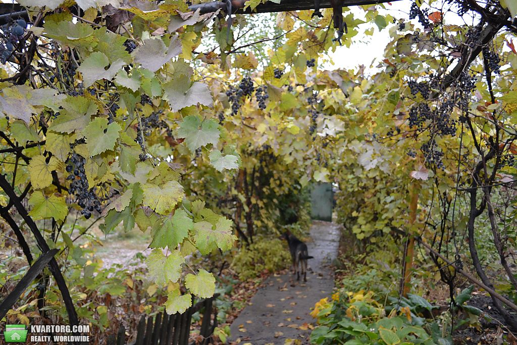 Sell house. Одесса, Моторный 1-й переулок — photo 8