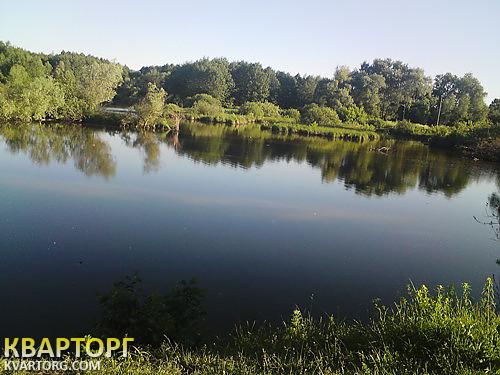 Sell house. Киевская обл., 111 — photo 4