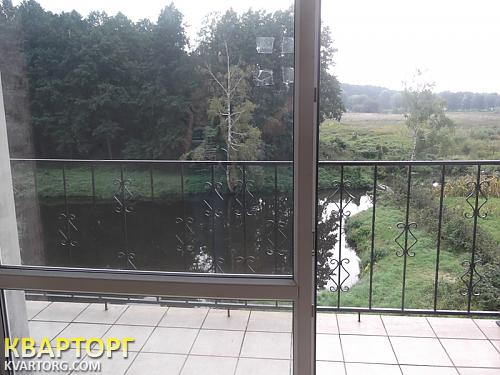 Sell house. Киевская обл., зазимья — photo 10