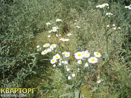 Sell house. Киев, Осокорки. — photo 4