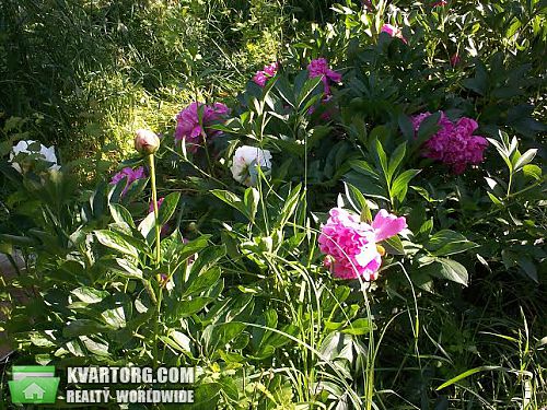 Rent out house. Киев, Садовая — photo 6
